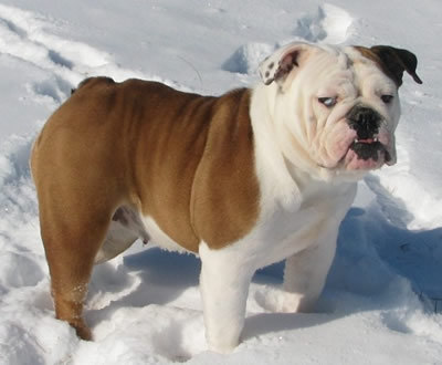 kugrad1216's profile picture. 