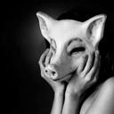 Harrison wall - @Oneleggedtiger - Twitter