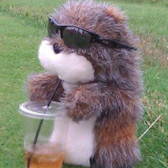 pbarr96's profile picture. Microsoft Group Program Manager. Dry land wheat farming. Sounders Fan. Large Screen Computing. Future of Windows.