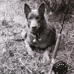 locallyownedca's profile picture. Supporting / linking  small local businesses together to compete with the big guys!