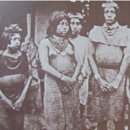 e_f_henriquez's profile picture. PhD. Antropología social y cultural
Master Antropología visual y documental antropológico
Sociólogo