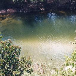 guariliss's profile picture. Dios Todopoderoso hágase Tú voluntad en la Tierra (en 🇻🇪) como en el Cielo!