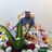 Balady44's profile image