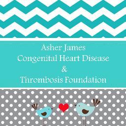 Asher James Foundation provides advocacy and awareness in congenital heart defects and children's blood clots and supports bereavement through Olivia's Blankets