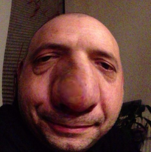 rctarnhem's profile picture. 