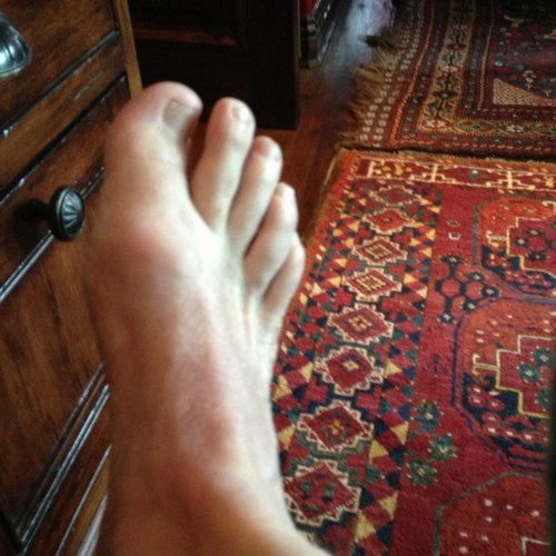 dfotmt1's profile picture. 