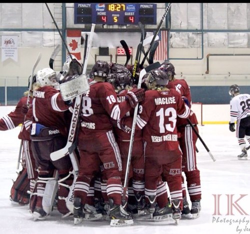 Yotes