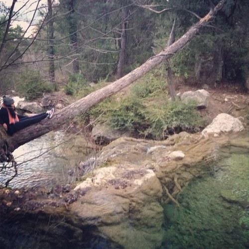 Andruvi84's profile picture. 