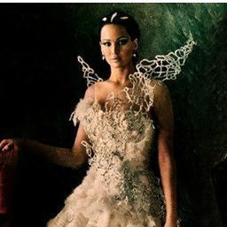 HungerGamesFr's profile picture. Vous suit.