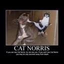 Anthony Ollie - @AnthonyOllie628 - Twitter