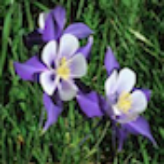 iCOLORADOi's profile picture. Everyday is beautiful in Colorado @imondayi @ituesdayi @iwednesdayi @ithursdayi @ifridayi @isaturdayi @isundayi @ifamilyi @ifriendsi @isunshinei @ismilesi #k2