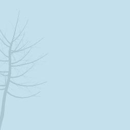 On the path to learning Meditation and Mindfulness.
Peace to you, and pass it on.
