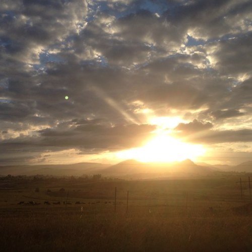 maria196500's profile picture. 