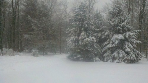 Livewell4you's profile picture. 