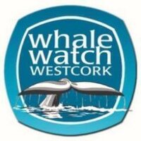 Whale Watch West Cork (@whalewatchcork) 's Twitter Profile