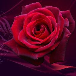 service 2 mankind is service 2 god
