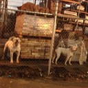 Edwin Rudy - @EdwinRudy892 - Twitter