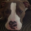 robert lufkin md - @lufro2000 - Twitter