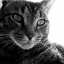 Kim Wendt - @kimwendt - Twitter