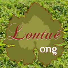 Creando nuestra propia comuna. Con tu apoyo, avanzamos. #LontueComuna