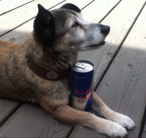 skrillexyay's profile picture. ...