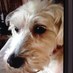 Kathy Joyce (@kathyck3) Twitter profile photo Kathy Joyce (@kathyck3) Twitter profile photo