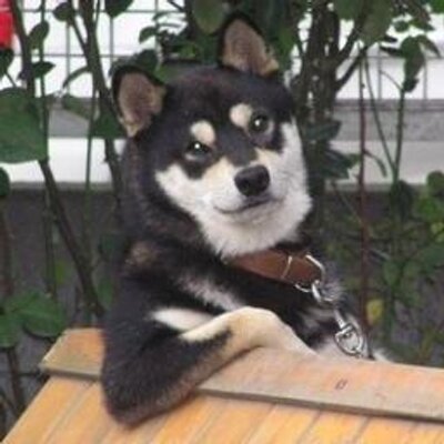 Kami Joe999 On Twitter ドイツが米国に原爆を落としたとしましょう その後ドイツが戦争 に負けたとします その場合 米国民の誰が 原爆投下を戦争犯罪とし首謀者を極刑に処すことに異議を唱えるでしょう 原爆投下は外交的にも人道的にも人類史上最悪の失敗だった