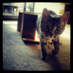 owenandjoni's profile picture. Happy poly couple.