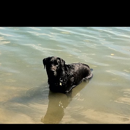 michellegwyther's profile picture. 