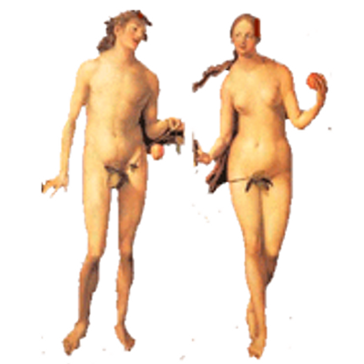 Biology Sex 78