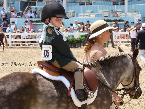 younger than your average pony mom, but 110% determined to help my babygirl make it to the top... as soon as she's old enough to ride!
