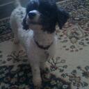 Gloria Downs - @jean41_2000 - Twitter