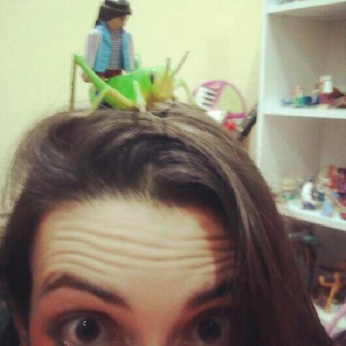 Mantodea88's profile picture. 