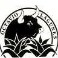 Aficionado a los toros a través de los libros, los amigos y a los viajes. Buscando siempre aprender de todo y todos los que me rodean.