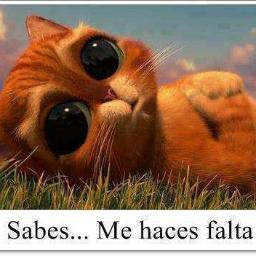 Sigueme y te siguo ;)
