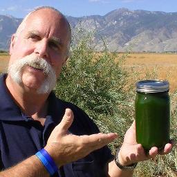 Certified Professional Health - Life Coach & Detoxification Specialists
Take Your Life Into Your Own Hands -- 
Helping People Everywhere Consultations/Answers