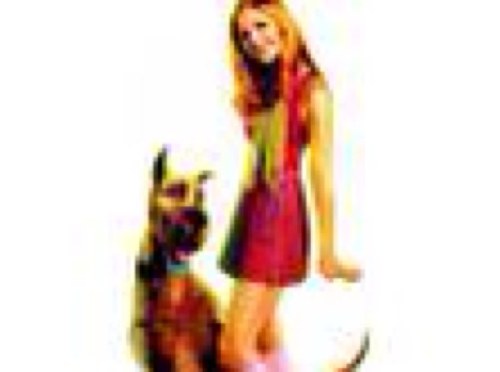 itscoolscooby's profile picture. Hi im scooby doo ... My best friend is shaggy rogers ... Just solving myster ...