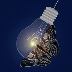 Altman_Tang's profile picture. 