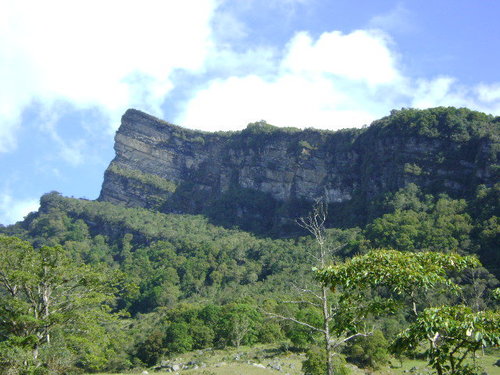 Kaztro18Rosa's profile picture. 