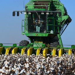 Cotton Farmers on the edge of the Chihuahuan Desert in West Texas, Avid Scuba Diver, Trekkie, Crop Insurance Agent