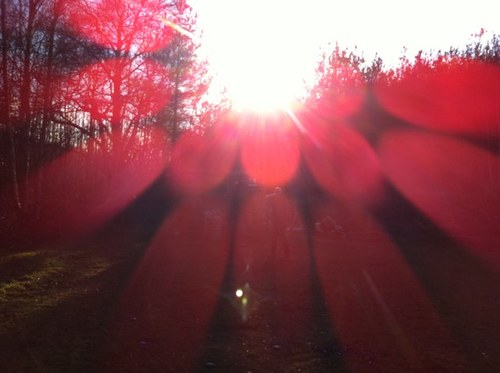 crazybrit66's profile picture. 