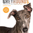 Profile Picture of GREYHOUNDS The Book (@@greyhoundsbook) on Twitter