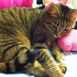 MarissaLynn20's profile picture. The good you do today, will often be forgotten. Do good anyway b/c in the final analysis, it is between you and God. It was never between you and them anyway†3