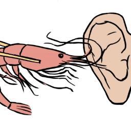 EarShrimp's profile picture. 