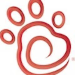 CFO is the fun lifestyle brand of indulgences for pets and pets lovers!