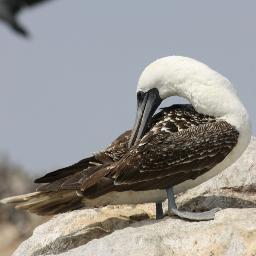 JCS_Madrid's profile picture. 