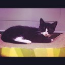 Bob Denis - @BobDenis989 - Twitter