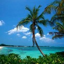 Katina Stephens - @Lmsmom61999 - Twitter