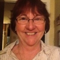 Connie Farrar - @bird_ladyconnie Twitter Profile Photo