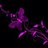 gipster4u's profile image